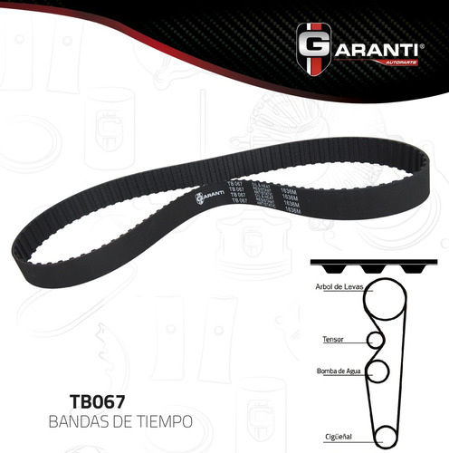 Banda Tiempo Distribución Ford Escort 1.9l  1985-1990