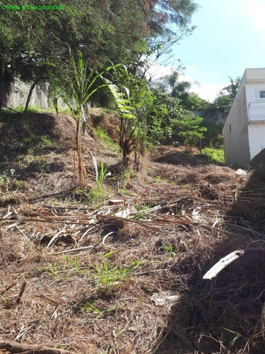 Imagem 6 de 8 de Terreno - Te00074 - 69538610