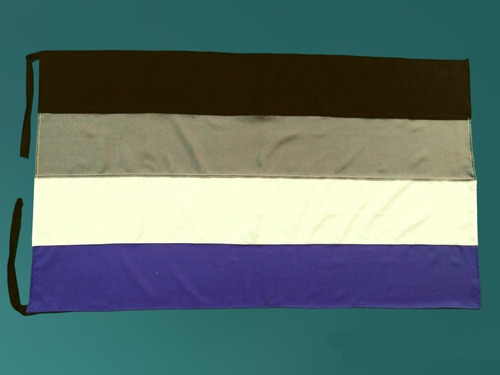 Bandera Asexual, Comunidades Lgbt Hacemos Todas Las Banderas