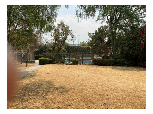 Imagen 6 de 13 de Excelente Terreno En La Mejor Zona De Jardines Del Pedregal
