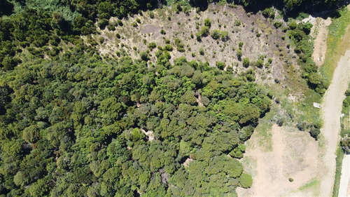15 Hectáreas Orilla Rio Maullin 10km De Puerto Varas