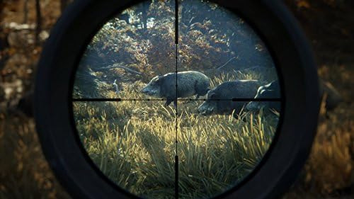 The Hunter Call Of The Wild (juego De Caceria) - Xbox One