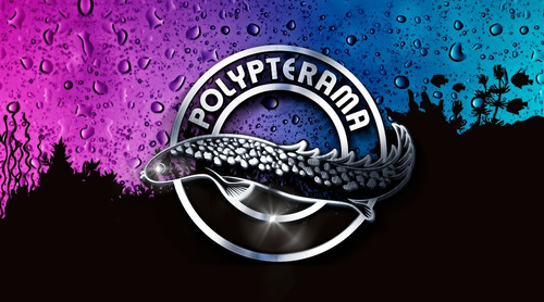 Imagen 2 de 3 de Tropical D-allio Plus Gránulos Ajo 60gr Discus Marinos Polyp