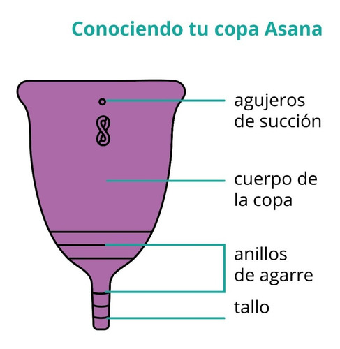 Copa Menstrual Asana Modelo Recta, Sustentable, Certificada