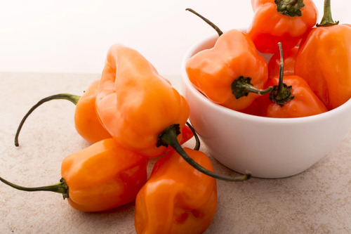 Pimenta Habanero Laranja Chile Pepper Ardida!!! 20 Sementes 