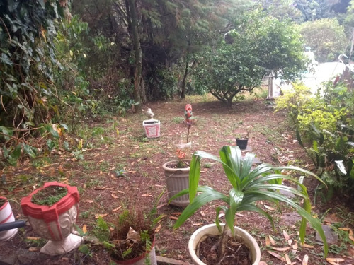 Imagem 18 de 24 de Chacara - Ch00050 - 69195142