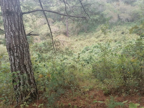 En Venta Terreno En Carretera A El Salvador Km 22.5 - Pvt-049-02-21