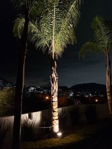 Paquete 10 Pzas Foco Par 30 Led 12 Watts Cálido 3000k Blanco Cálido