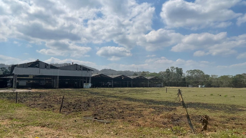 Terreno Plano En Venta San Francisco De Yare 100.817m²,jg