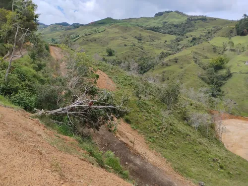 Lotes En Venta Concepciòn Matricula Al 100 % Vereda La Palma