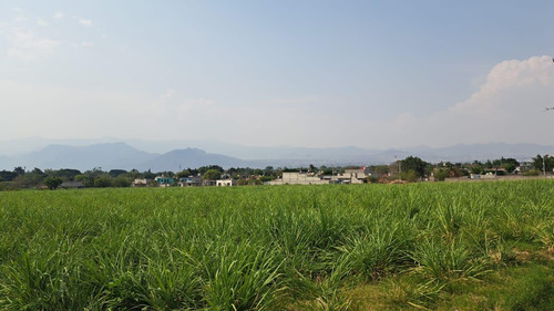 Terreno En Venta En Cocoyoc