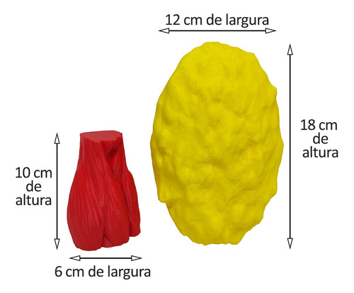 Kit Peças Anatômicas Gordura E Músculo Com Suporte Réplica