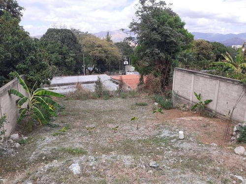 Imagen 8 de 10 de Terreno En Venta En Santa Rosa, San Juan De Los Morros 23-7380 / 0424-3392775