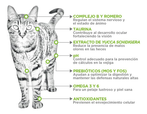 Nupec Felino Indoor 5 Kg + Churu AtĂșn Sobre Con 4 Tubos 14 G