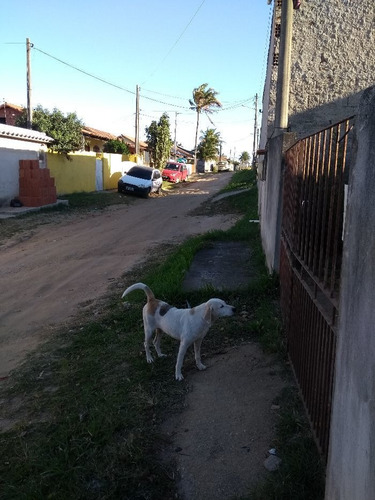 Casa À Venda Na Rua Mario Lucio Da Silva Araújo, Parque Das Perdizes, Cidade Nova, Iguaba Grande - Rj - Liv-9347