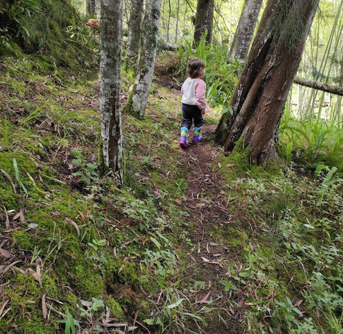 Imagen 19 de 30 de Finca En El Peñol Antioquia 7500 Mts Cuadrados. Escrituras Al Día.