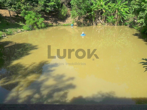 Imagem 21 de 30 de Casa À Venda Em Pinheiro - Ca002991