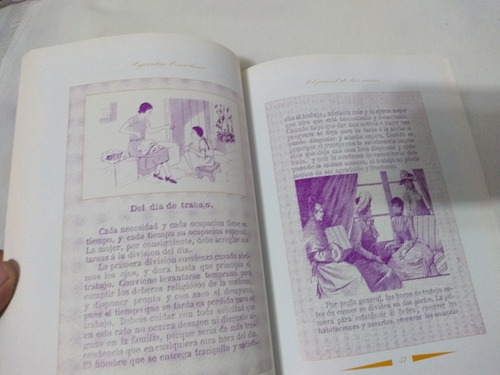 El Pensil De Las Niñas Agustin Escolano Invencion Tradición (Usado)