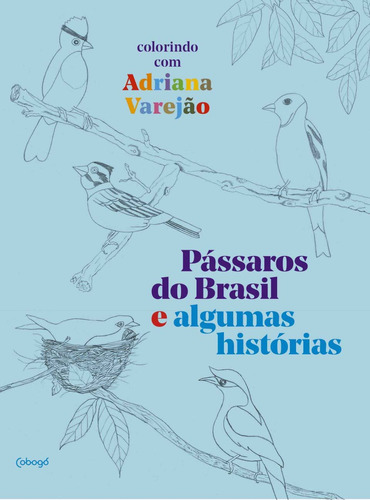 Libro Passaros Do Brasil E Algumas Historias Colorindo De Va