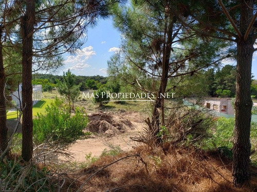 Imagen 3 de 4 de Terreno Interno En Costa Esmeralda Senderos 3