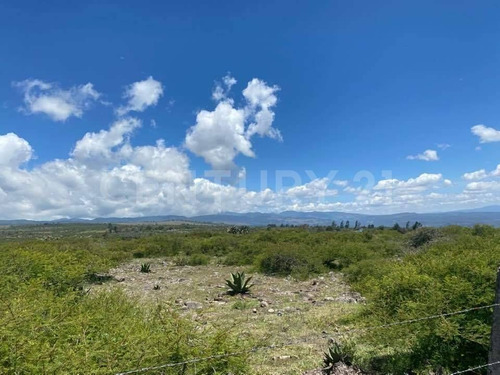 Imagen 19 de 24 de Se Vende Rancho En Hidalgo Para Inversionistas