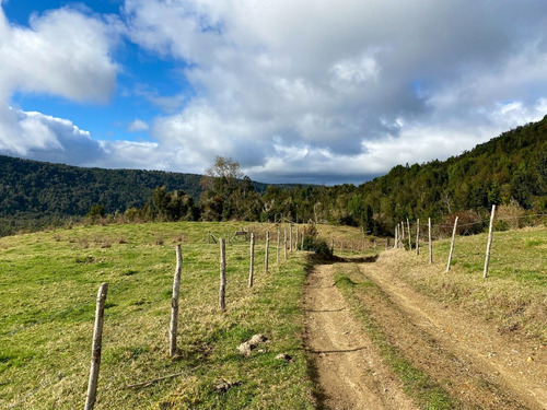 Imagen 9 de 22 de Campo De 42ha Estaquilla - Los Muermos