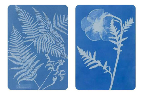 Jacquard Cyanotype En Papel Fabirc Diy Kit-paleta 50ml