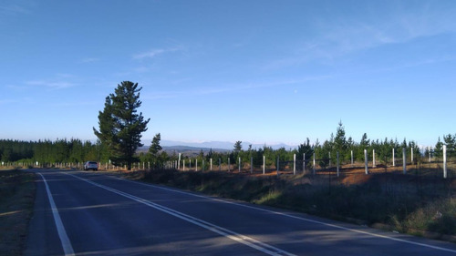 Parcelas 5000 M2, 100% Planas, Rol Propio. Alto Colorado!!