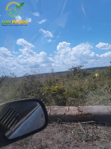 Imagem 13 de 15 de Fazenda À Venda Em Rondom - Pa - 11.000 Hectares (dupla Aptidão) - 1949