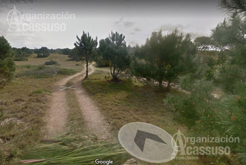 Imagen 7 de 14 de Terreno - La Pedrera