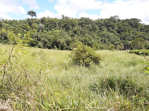 Imagem 8 de 15 de Sítio Enseada Com Reserva Legal E App Linda, Local Exclusivo
