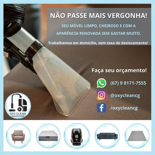 Imagem 1 de 4 de Limpeza E Higienização De Estofados (lavagem À Seco)