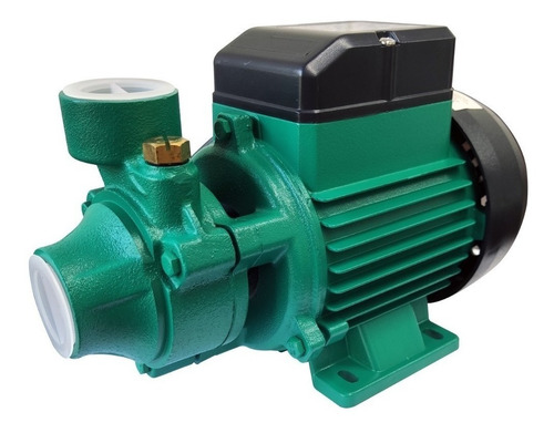 Imagen 1 de 1 de Bomba periférica monofásica Czerweny QB 60L1 0.5hp color verde 50Hz 220V