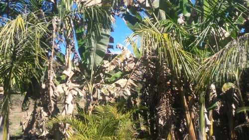 Chácara Na Beiro Do Rio Verde , Com 4400 Metros, Em Soledade De Minas,casa Boa , Uma Bela Varanda Com Vista Para O Rio Verde. - 322