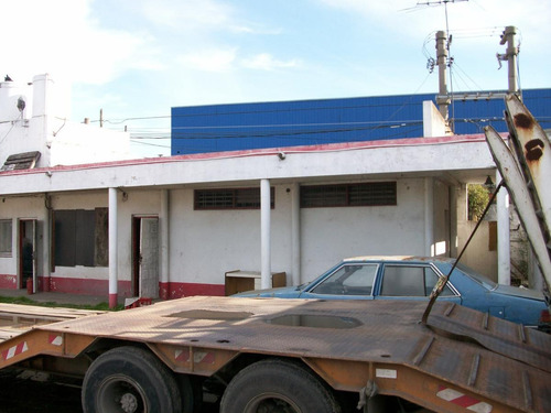Imagen 3 de 7 de Terreno - Troncos Del Talar