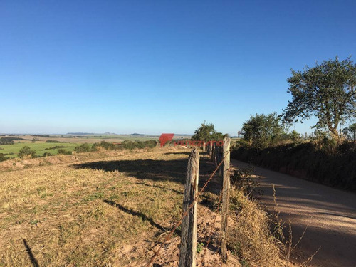 Terreno À Venda, 27636 M² Por R$ 0 - São Pedro - São Pedro/sp - Te0677