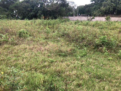Imagen 5 de 14 de Terreno - San Juan Bautista Tuxtepec