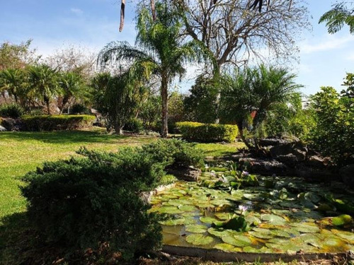 Venta Finca/rancho 8 Tourist Development For Sale 30 Minutes From Cuernavaca Morelos