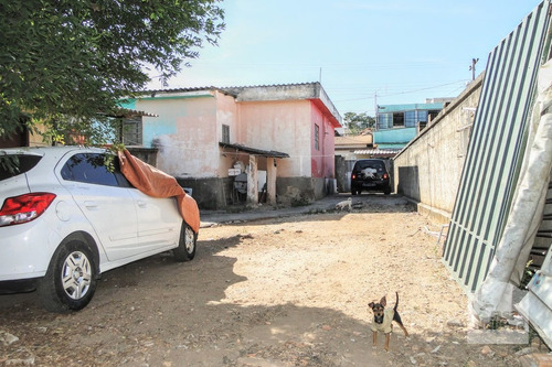 Imagem 1 de 3 de Lote À Venda No Paquetá - Código 252723 - 252723