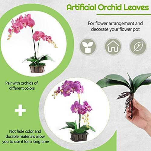 Chuangdi 6 Piezas Hojas De Orquídeas Phalaenopsis Falsas Hoj