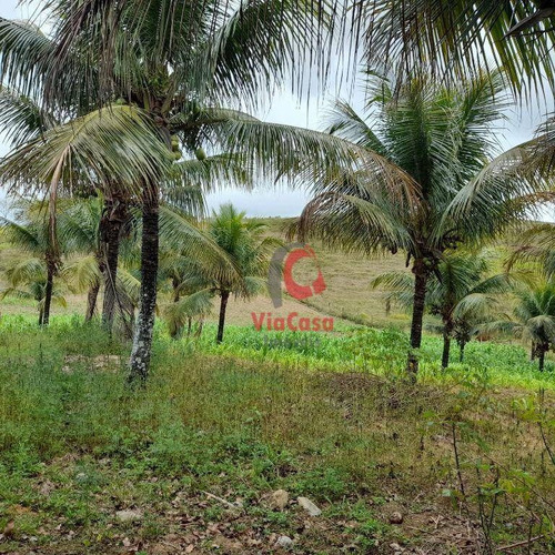 Imagem 10 de 30 de Linda Chácara 40.000 M2 - Ch0004