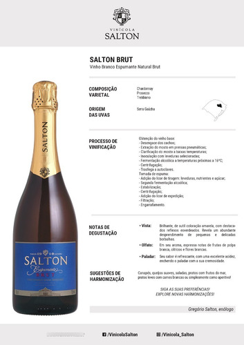 Imagem 2 de 2 de Vinho Espumante Salton Brut Branco Seco 750ml Envio Imediato