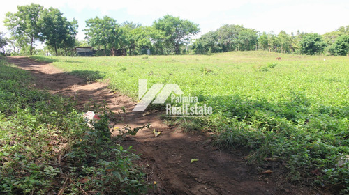 Imagen 4 de 5 de Venta De Terrenos En Masaya