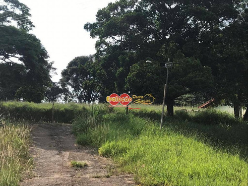 Imagem 5 de 9 de Área Industrial/ Comercial - Rodovia Itatiba/ Bragança - Te3120