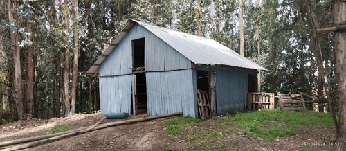Parcela De 6,5 Ha En Comuna Rio Claro, Region Del Maule,