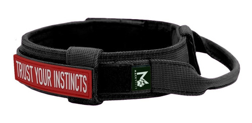 Imagen 3 de 10 de Pechera Táctica Perro + Collar + Paseador + Parche /talla Xl