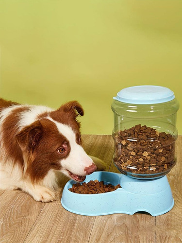 Bebedero Agua Grande Automático 3.8 Litros Perros Gatos