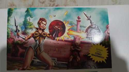 Masters Of The Universe Teela (Usado)