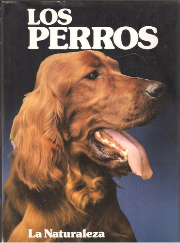 Los Perros Peggy Wratten