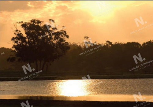 Imagen 3 de 5 de Terrenos A La Venta En Manantiales. - Manantiales Laguna Estates